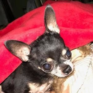 Meet your Posher, Rhonda